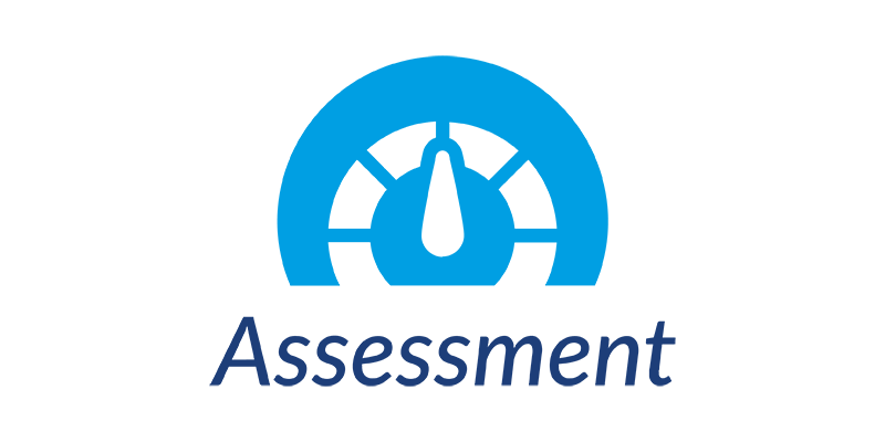 Assessment