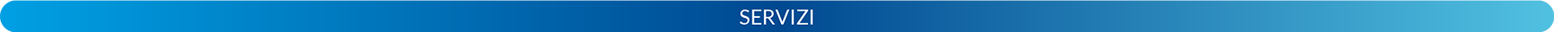 Servizi